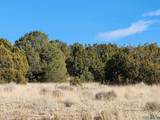  Ponderosa Ranches Trail Road - Photo 11