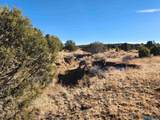  Ponderosa Ranches Trail Road - Photo 3