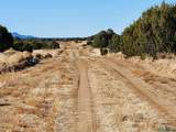 Ponderosa Ranches Trail Road - Photo 5