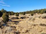  Ponderosa Ranches Trail Road - Photo 6