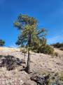 0000 Tbd Nm 169 State Road - Photo 7