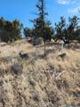 0000 Tbd Nm 169 State Road - Photo 8