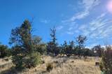 0000 Tbd Nm 169 State Road - Photo 9