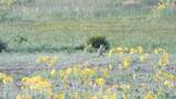 000 Tba Road - Photo 68