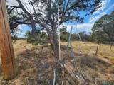 136 Ponderosa View Loop Road - Photo 14