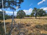 136 Ponderosa View Loop Road - Photo 15