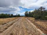 136 Ponderosa View Loop Road - Photo 16