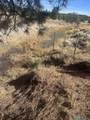 000 Forest Road 19 Road - Photo 14