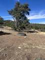 000 Forest Road 19 Road - Photo 24