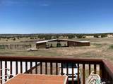 92 Mariano Springs Road - Photo 23