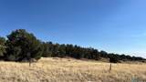 Lot 88 Starfire Loop Road - Photo 21