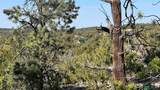 Lot 88 Starfire Loop Road - Photo 30