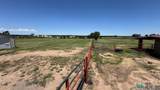 5037 Berrendo Road - Photo 67