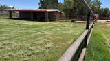 5037 Berrendo Road - Photo 70