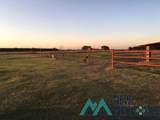 5037 Berrendo Road - Photo 76