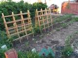 5037 Berrendo Road - Photo 79