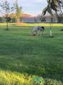 5037 Berrendo Road - Photo 80