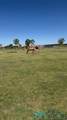 5037 Berrendo Road - Photo 82