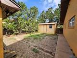 1325 Piedmont Drive - Photo 44
