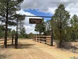 37 Lasso Lane - Photo 58