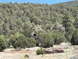 2664 Nm Hwy 12 Highway - Photo 21