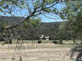 2664 Nm Hwy 12 Highway - Photo 3