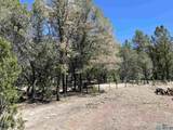 2664 Nm Hwy 12 Highway - Photo 30