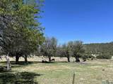 2664 Nm Hwy 12 Highway - Photo 7