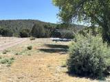 2664 Nm Hwy 12 Highway - Photo 75