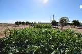2550 Ash St Sw - Photo 63