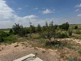 3006 Pine Lodge Road - Photo 40