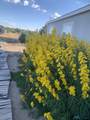 738 Moreno Hill Rd Road - Photo 15