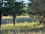434 Nm Hwy 94 - Photo 15