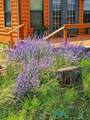 87 Deer Trail Road - Photo 43