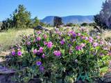 87 Deer Trail Road - Photo 44