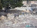 87 Deer Trail Road - Photo 49