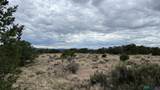 87 Deer Trail Road - Photo 59