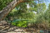 119 Trujillo Creek Road - Photo 62