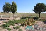 3303 Mcpherson Road - Photo 46