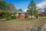 2819 Delicado Drive - Photo 3