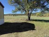 3003 Hot Springs Boulevard - Photo 16