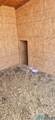 37 Buena Vida Road - Photo 47