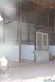 205 Las Palomas Canyon Road - Photo 14