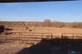 205 Las Palomas Canyon Road - Photo 17