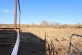 205 Las Palomas Canyon Road - Photo 8