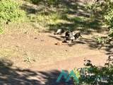 125 Deep Creek Ranch Road - Photo 37