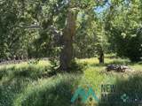125 Deep Creek Ranch Road - Photo 9