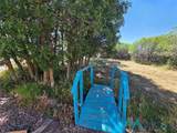 2499 Rio Chamita Trail Drive - Photo 38