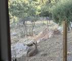 37 Rim Dr - Photo 35