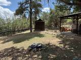 27 Rim Dr Drive - Photo 41